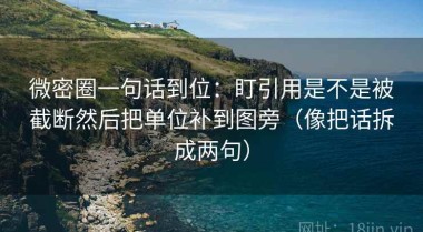 微密圈一句话到位：盯引用是不是被截断然后把单位补到图旁（像把话拆成两句）
