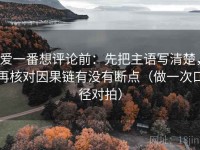 爱一番想评论前：先把主语写清楚，再核对因果链有没有断点（做一次口径对拍）