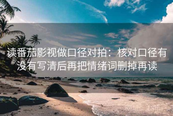 读番茄影视做口径对拍：核对口径有没有写清后再把情绪词删掉再读