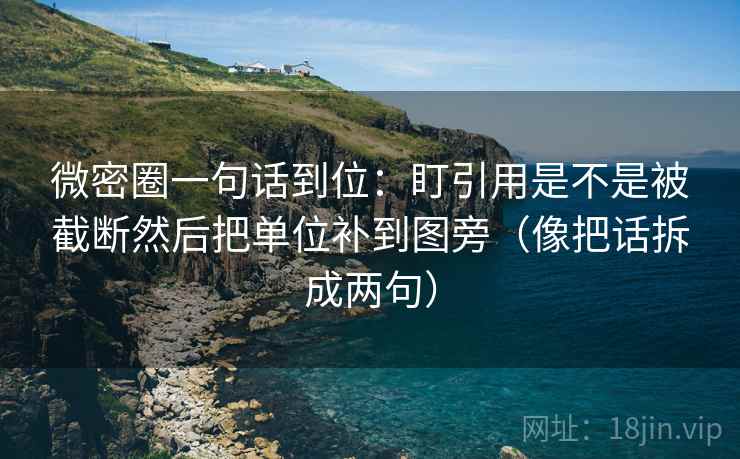 微密圈一句话到位：盯引用是不是被截断然后把单位补到图旁（像把话拆成两句）